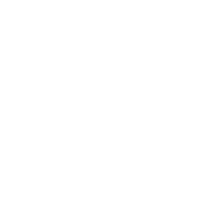 NSE